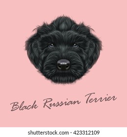 Vector Illustrated Portrait of Black Russian Terrier dog. Cute black curly face of a puppy on pink background.