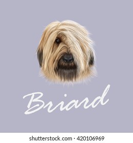 Vector Illustrated Portrait of Briard dog. Cute face of fluffy dog on blue background