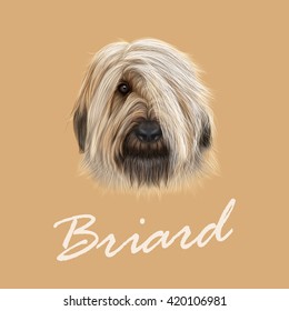 Vector Illustrated Portrait of Briard dog. Cute face of fluffy dog on tan background