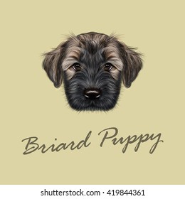 Vector Illustrated Portrait of Briard puppy. Cute face of fluffy dog on tan background