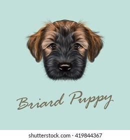 Vector Illustrated Portrait of Briard puppy. Cute face of fluffy dog on blue background