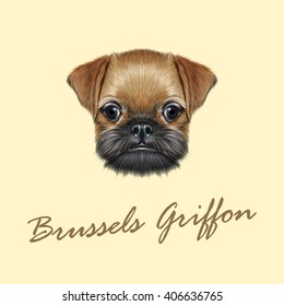 Vector Illustrated portrait of Brussels Griffon puppy. Cute bearded face of domestic dog on yellow background.