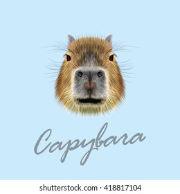 Vector Illustrated Portrait of Capybara. Cute face of wild Capybara on blue background.