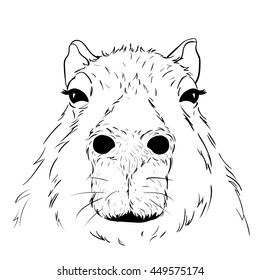 How To Draw A Capybara Easy