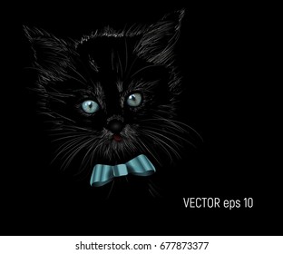 Vector Illustrated Portrait of Cat on black background
