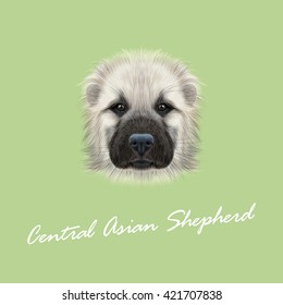 Vector Illustrated Portrait of Central Asian Shepherd Dog. Cute fluffy white face of young domestic dog on green background.