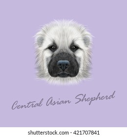 Vector Illustrated Portrait of Central Asian Shepherd Dog. Cute fluffy white face of young domestic dog on violet background.