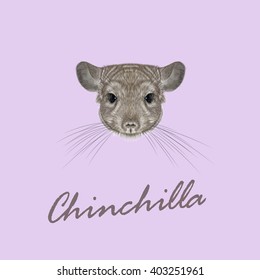 Vector Illustrated portrait of Chinchilla.Cute fluffy face of Chinchilla on pink background. svg