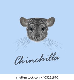 Vector Illustrated portrait of Chinchilla.Cute fluffy face of Chinchilla on blue background. svg