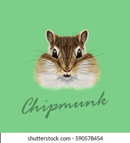 Vector Illustrated portrait of Chipmunk. Cute head of wild mammal on green background.