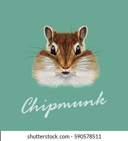 Vector Illustrated portrait of Chipmunk. Cute head of wild mammal on dark green background.