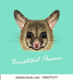 Vector Illustrated portrait of Common brushtail possum. Cute head of wild Australian mammal on blue background.