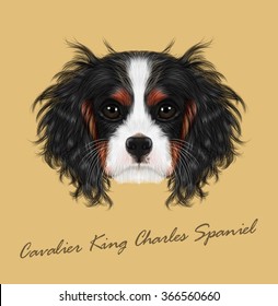 Vector illustrated portrait of Dog. Cavalier King Charles Spaniel on beige background.