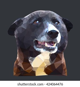 Vector illustrated portrait of dog on dark background in triangulation technique. 