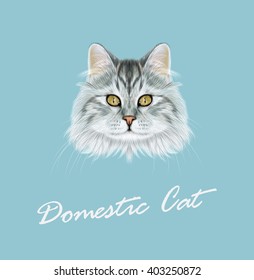Vector Illustrated Portrait of Domestic cat. Cute face of grey tabby cat on blue background.