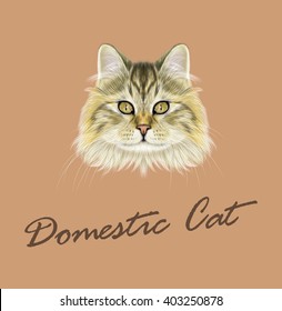 Vector Illustrated Portrait of Domestic cat. Cute face of brown tabby cat on coffee color background.