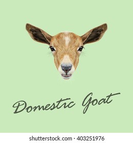 Vector Illustrated portrait of Domestic Goat. Cute face of beige Goat on green background.