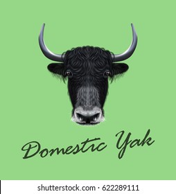 Vector Illustrated portrait of Domestic yak. Cute fluffy black face of Bovid on green background.