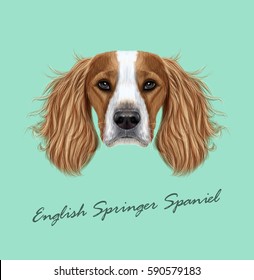 Vector illustrated Portrait of English Springer Spaniel dog. Cute face of domestic breed dog on blue background.