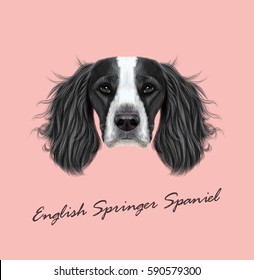 Vector illustrated Portrait of English Springer Spaniel dog. Cute face of domestic breed dog on pink background.