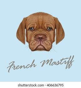 Vector Illustrated Portrait of French Mastiff puppy. Cute face of red domestic dog with blue eyes on blue background.