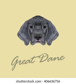 Vector Illustrated portrait of German Great Dane puppy. Cute face of silver domestic dog on yellow background.