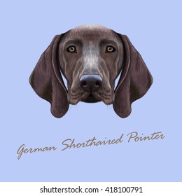 Vector Illustrated Portrait of German Shorthaired Pointer. Cute brown face of domestic dog on blue background 