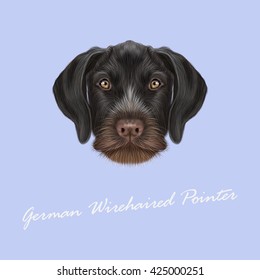 Vector Illustrated Portrait of German Wirehaired Pointer dog. Cute brown face of hunting dog on blue background.