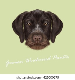 Vector Illustrated Portrait of German Wirehaired Pointer dog. Cute red face of hunting dog on yellow background.