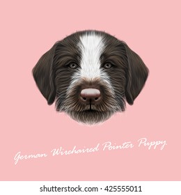 Vector Illustrated Portrait of German Wirehaired Pointer puppy. Cute brown face of hunting dog on pink background.