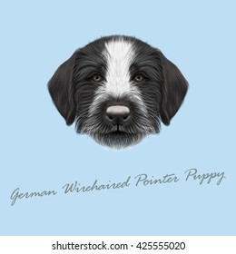 Vector Illustrated Portrait of German Wirehaired Pointer puppy. Cute brown face of hunting dog on blue background.