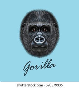 Vector Illustrated portrait of Gorilla male. Cute head of wild ape on blue background.