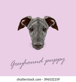 Vector Illustrated Portrait of Greyhound puppy. Cute face of dark brindle domestic dog on pink background