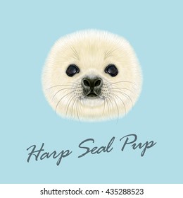 Vector Illustrated Portrait of Harp Seal Pup. Cute fluffy face of Harp Seal baby on blue background.