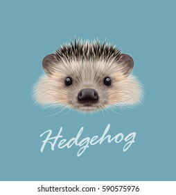 Vector Illustrated portrait of Hedgehog. Cute head of wild spiny mammal on blue background.