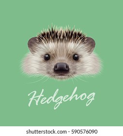 Vector Illustrated portrait of Hedgehog. Cute head of wild spiny mammal on green background.