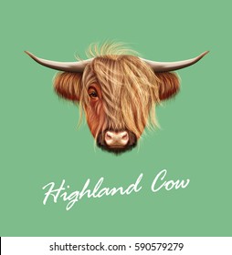 Vector Illustrated portrait Highland cattle  Cute head Scottish cattle green background 