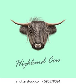 Vector Illustrated portrait Highland cattle  Cute head Scottish cattle blue background 