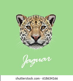 Vector Illustrated portrait of Jaguar. Cute fluffy face of Big cat with yellow eyes on green background.