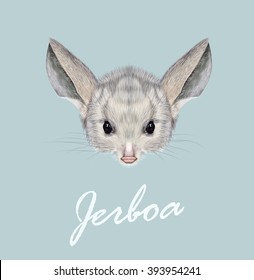 Vector illustrated portrait of Jerboa. Cute grey face of desert small mammal on blue background