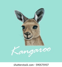 Vector Illustrated portrait of Kangaroo. Cute head of wild Australian mammal on blue background.