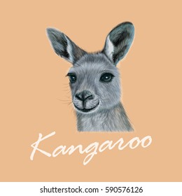 Vector Illustrated portrait of Kangaroo. Cute head of wild Australian mammal on tan background.