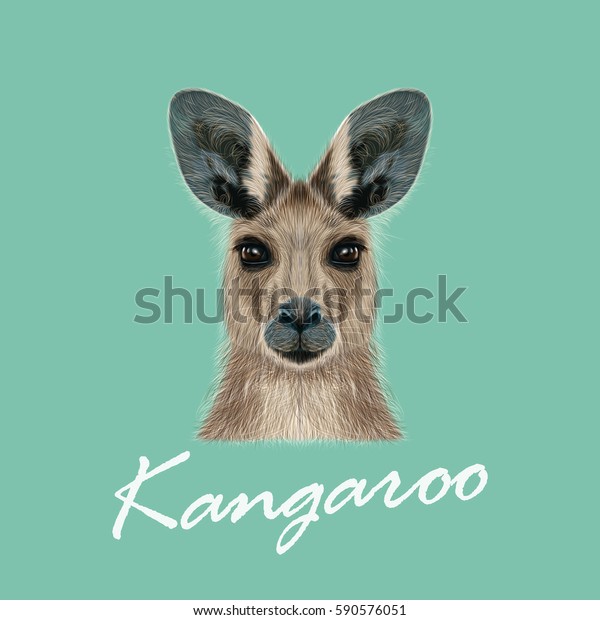 カンガルーのベクター画像イラストポートレート 青の背景にオーストラリア産の野生の哺乳動物のかわいい頭 のベクター画像素材 ロイヤリティフリー