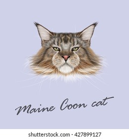 Vector Illustrated Portrait of Maine Coon cat. Cute fluffy face of domestic cat on blue background.