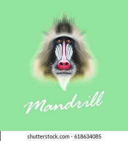 Vector Illustrated portrait of Mandrill monkey. Cute fluffy face of primate on green background.