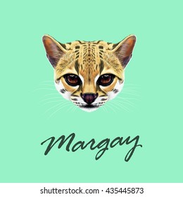 Vector Illustrated Portrait of Margay cat. Cute face of wild cat on turquoise colour  background.