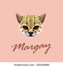 Vector Illustrated Portrait of Margay cat. Cute face of wild cat on pink background.