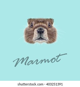 Vector Illustrated portrait of Marmot. Cute face of meadow Rodentia animal on blue background.