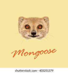 Vector Illustrated portrait of Mongoose. Cute face of gold Mongoose with orange eyes on yellow background.