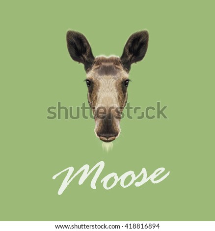 Vector Illustrated Portrait of Moose. Cute face of forest elk on green background.